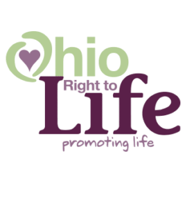 screenshot 2025 11 18 at 13.13.53